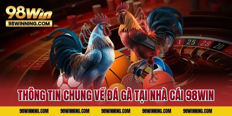 Thông tin chung về Đá gà tại nhà cái 98WIN
